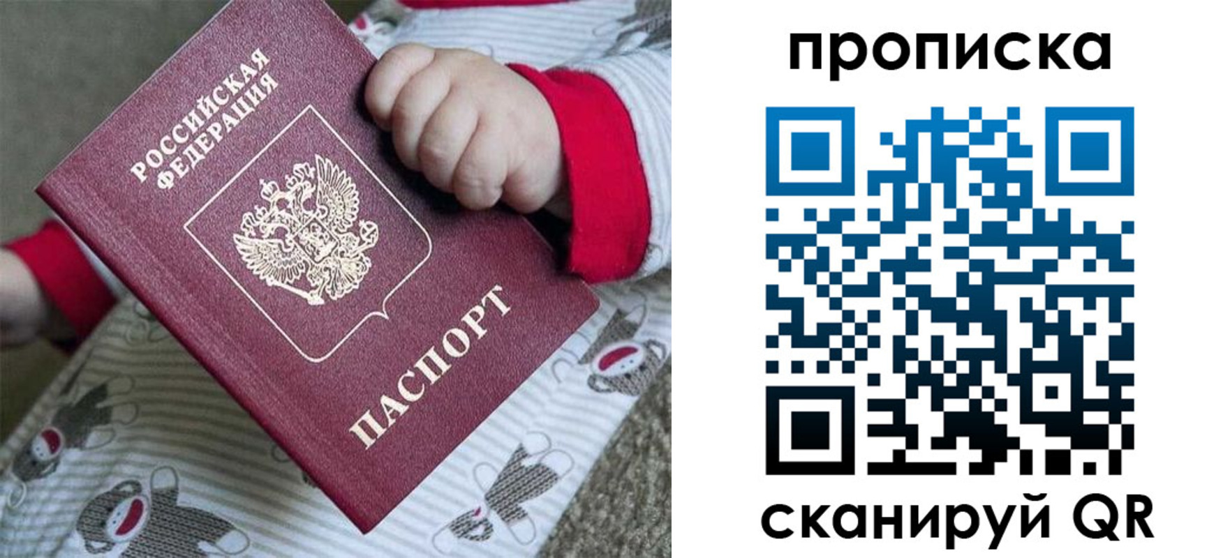 прописка 2025 в Мончегорске